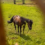 Bruval Eco Retreat אתר נופש