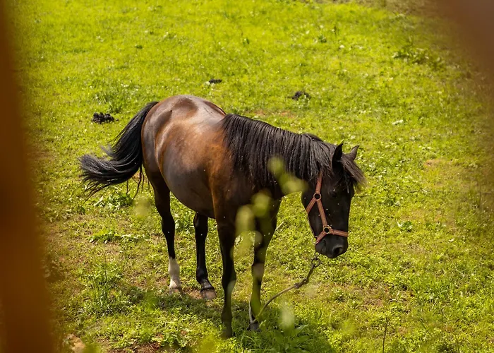 Bruval Eco Retreat Station touristique