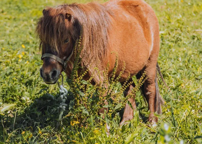 Station touristique Bruval Eco Retreat Sandim